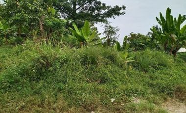 Di Jual Tanah Komersil Murah Cocok Untuk Pabrik di Cipatat, Bandung Barat