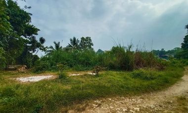 Di Jual Tanah Komersil Murah Cocok Untuk Pabrik di Cipatat, Bandung Barat