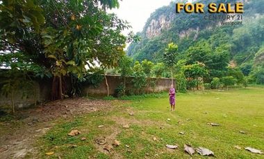 Di Jual Tanah Komersil Murah Cocok Untuk Pabrik di Cipatat, Bandung Barat