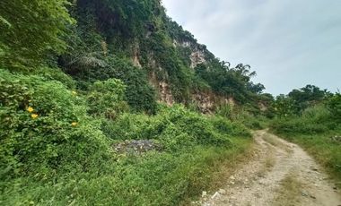 Di Jual Tanah Komersil Murah Cocok Untuk Pabrik di Cipatat, Bandung Barat