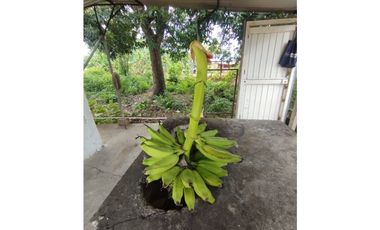 OPORTUNIDAD DE INVERSIÓN VENTA DE LOTE CONSTRUIDO VIA PLANETA RICA