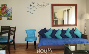 Departamento Metro Santa Lucía ID: 60528r