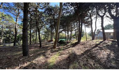 LOTE EN LAS GAVIOTAS