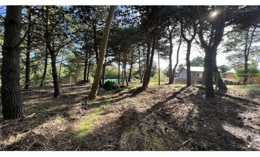 LOTE EN LAS GAVIOTAS