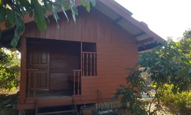 3 Bedroom House for sale in Chomphu, Chiang Mai