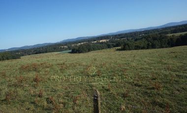 Los Lagos, buen campo lechero y ganadero