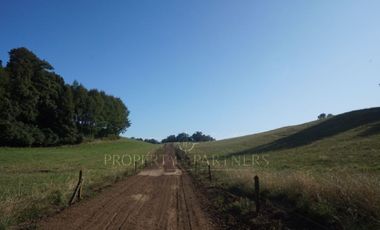 Los Lagos, buen campo lechero y ganadero
