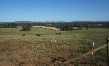 Los Lagos, buen campo lechero y ganadero