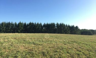 Los Lagos, buen campo lechero y ganadero