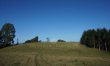 Los Lagos, buen campo lechero y ganadero