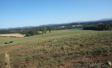 Los Lagos, buen campo lechero y ganadero