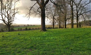 Los Lagos, buen campo lechero y ganadero