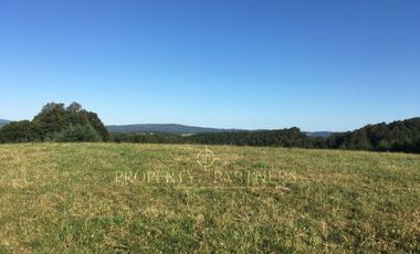 Los Lagos, buen campo lechero y ganadero