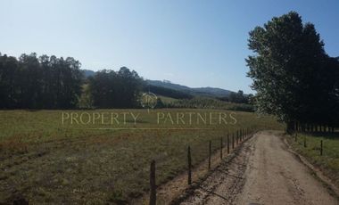 Los Lagos, buen campo lechero y ganadero