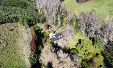 Los Lagos, buen campo lechero y ganadero