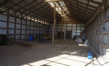 Los Lagos, buen campo lechero y ganadero