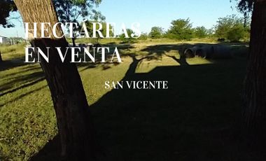 Campo - San Vicente