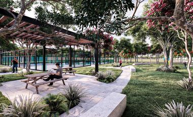 Terreno en venta Mérida Yucatán, Cantori Cholul