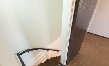 Casa Canal beagle ID: 105671r