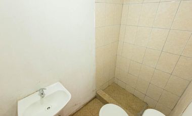 Casa Canal beagle ID: 105671r