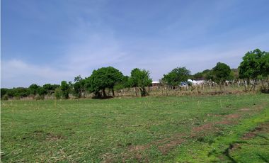Terreno 2,000 m² en San Andrés de la Cal, municipio de Tepoztlán, Mor.