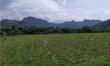 Terreno 2,000 m² en San Andrés de la Cal, municipio de Tepoztlán, Mor.