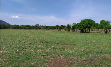 Terreno 2,000 m² en San Andrés de la Cal, municipio de Tepoztlán, Mor.