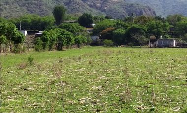 Terreno 2,000 m² en San Andrés de la Cal, municipio de Tepoztlán, Mor.