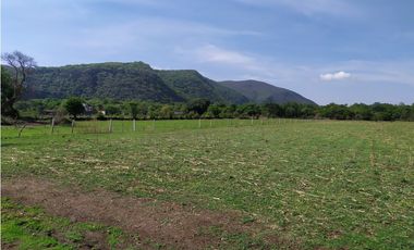 Terreno 2,000 m² en San Andrés de la Cal, municipio de Tepoztlán, Mor.