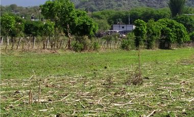 Terreno 2,000 m² en San Andrés de la Cal, municipio de Tepoztlán, Mor.