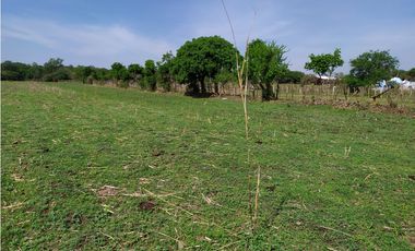 Terreno 2,000 m² en San Andrés de la Cal, municipio de Tepoztlán, Mor.
