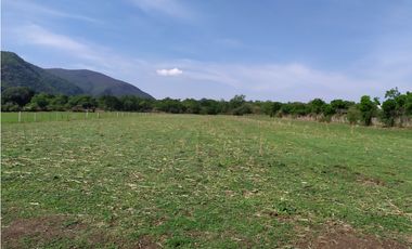 Terreno 2,000 m² en San Andrés de la Cal, municipio de Tepoztlán, Mor.