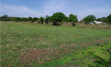 Terreno 2,000 m² en San Andrés de la Cal, municipio de Tepoztlán, Mor.
