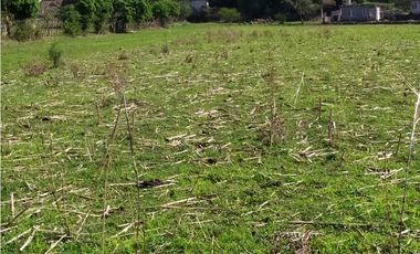 Terreno 2,000 m² en San Andrés de la Cal, municipio de Tepoztlán, Mor.