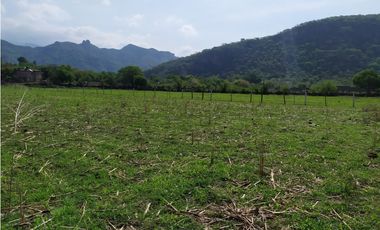 Terreno 2,000 m² en San Andrés de la Cal, municipio de Tepoztlán, Mor.
