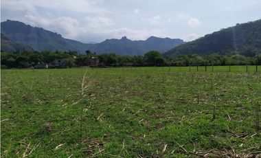 Terreno 2,000 m² en San Andrés de la Cal, municipio de Tepoztlán, Mor.