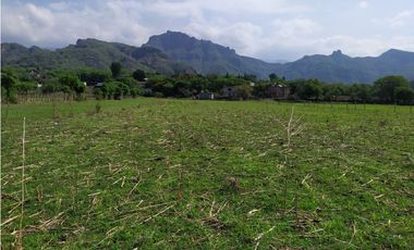 Terreno 2,000 m² en San Andrés de la Cal, municipio de Tepoztlán, Mor.