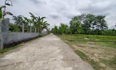 Tanah Siap Bangun Hunian di Timur LPMP Kalasan