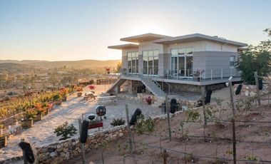 6000 m2 VIÑEDOS CON CASAS EN VALLE DE GUADALUPE