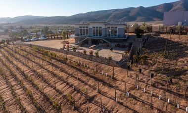 6000 m2 VIÑEDOS CON CASAS EN VALLE DE GUADALUPE