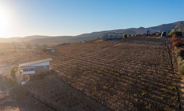 6000 m2 VIÑEDOS CON CASAS EN VALLE DE GUADALUPE