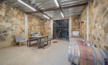 6000 m2 VIÑEDOS CON CASAS EN VALLE DE GUADALUPE