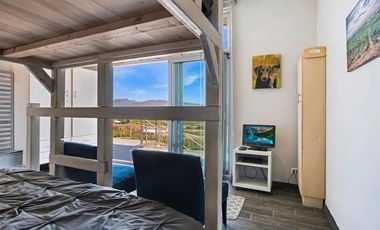 6000 m2 VIÑEDOS CON CASAS EN VALLE DE GUADALUPE