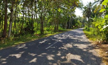 Rumah berkonsep Etnik Jawa di Krembangan