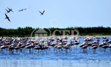 550 HECTÁREAS RUTA MAR CHIQUITA