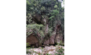 Terreno con rio Ahuashiyacu y abundate vegetacion