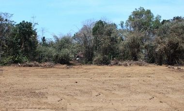 Tanah Siap Bangun Area Deandels Purworejo