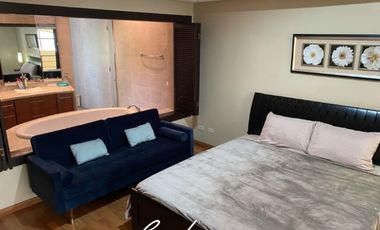 VENTA DE APARTAMENTO TIPO LOFT  AMOBLADO, EMBASSY CLUB, CLAYTON (6)