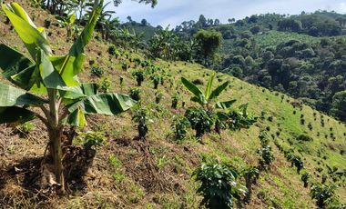 finca en venta en santuario- la marina-32hq+994 santuario, risaralda. Cod V9763727