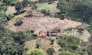 finca en venta en santuario- la marina-32hq+994 santuario, risaralda. Cod V9763727